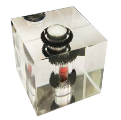 مكعب المجال المغناطيسي شفاف