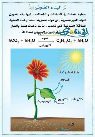 البناء الضوئي