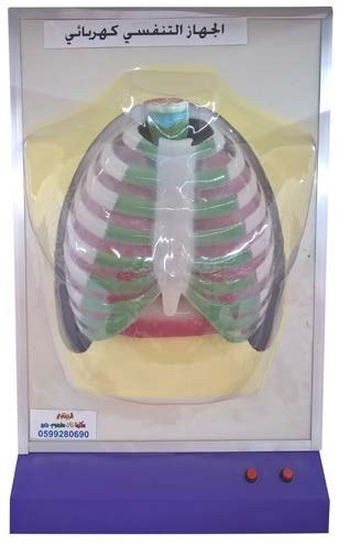 مجسم جهاز التنفس كهربائي