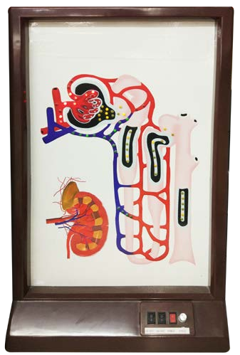 جهاز يوضح مبدأ عمل الكلية كهربائي